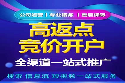 探索专业SEM托管的奥秘：从案例看效果